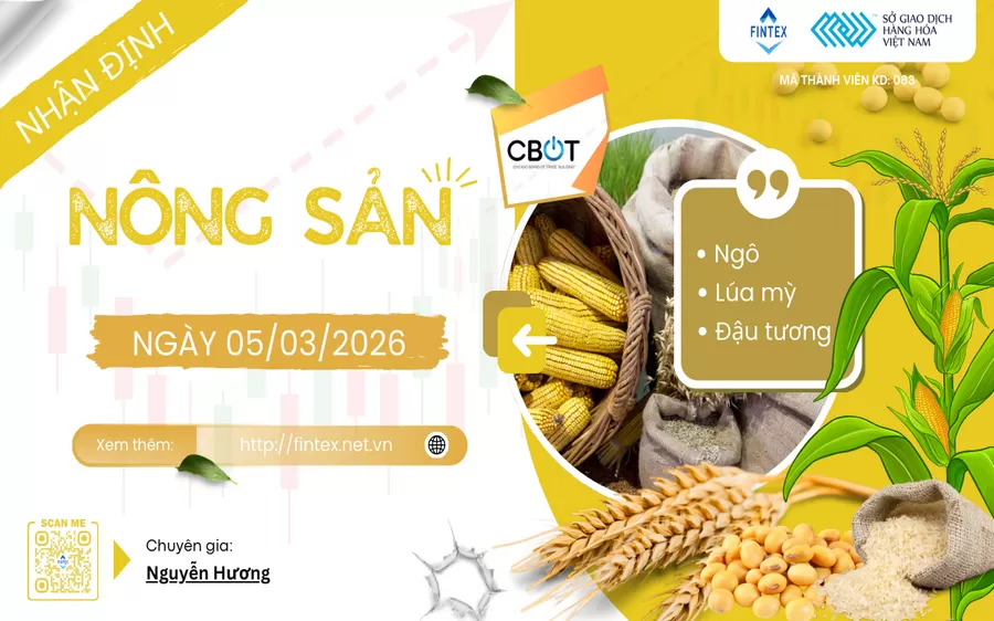 NHẬN ĐỊNH THỊ TRƯỜNG NÔNG SẢN NGÀY 05/03/2026